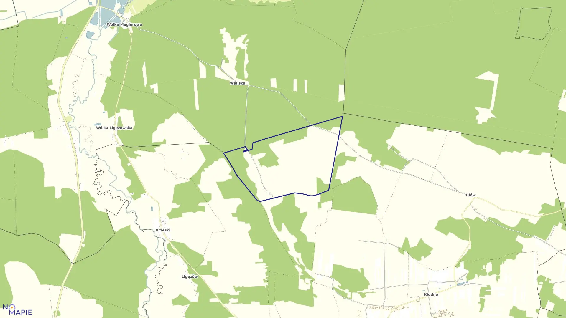 Mapa obrębu BOROWINA w gminie Nowe Miasto nad Pilicą